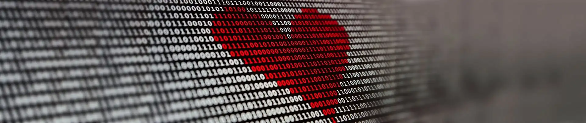 0069_alexander-sinn-KgLtFCgfC28-unsplash