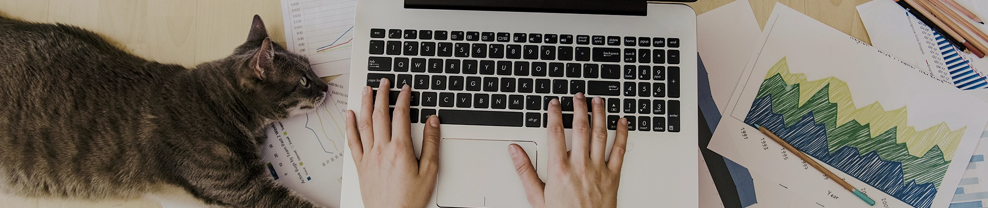 01 Blog Image 1920X406