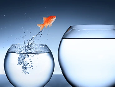 01 Paradigm Shift 369X278