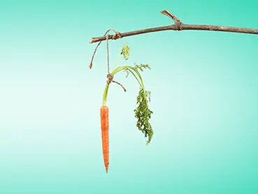 A carrot is tied with a string and hangs from a twig against a turquoise background.