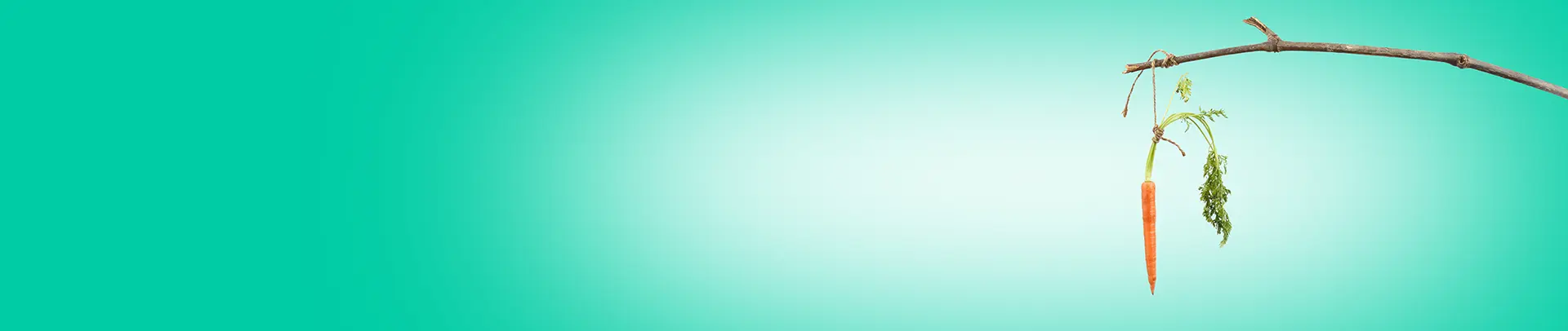 MicrosoftTeams-image-18