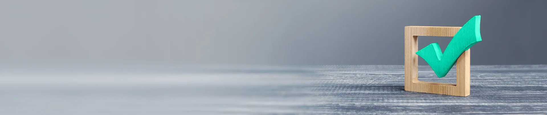 Term & Conditions - Leoforce