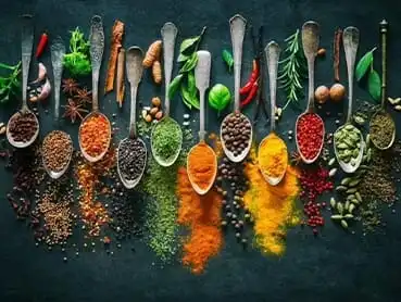 An array of spices is showcased in metal spoons, ranging in colors from red, green, yellow to brown and black. Fresh herbs, peppers, and seeds are scattered around, creating a vibrant and diverse culinary display on a dark background.